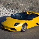 땡칠이네 이미지