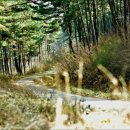 구암보건진료소 이미지