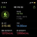 고윈클럽