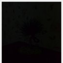 대전보건대 이미지