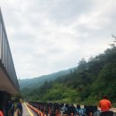 침곡리 입구 이미지