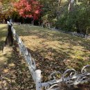 탄요유적공원 이미지