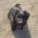 강원도 청계 농장 이미지