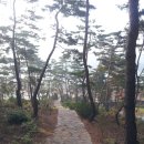 삼한국대부인순흥안씨묘 네이버블로그