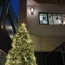 파스타부오노 | 흑백요리사 식당 포노부오노 히든천재 파스타 솔직한 후기