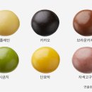 쿠키숲