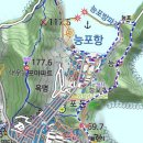 천봉 Daum카페
