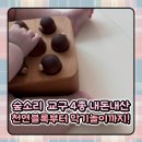 제일무도장 | 숲소리 원목 교구 추천 천연블록부터 악기놀이까지 내돈내산 4종 솔직 후기