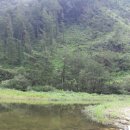 숲속의 샘물 캠핑장 이미지