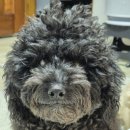 안곡로159번길 이미지