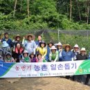 남계농장 네이버블로그
