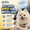 페츠런 | 동대문구펫택시 강아지,고양이만 단독으로~