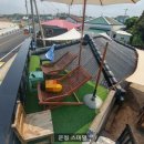 바당봉봉 이미지