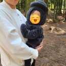 빽다방제주한림점 네이버블로그