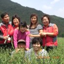 성기농장 이미지