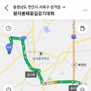 소우리 농장 | 4월 중순 만개한 성환 배밭, 왕지봉배꽃길. 끝없이 펼쳐진 배꽃의 이국적인 풍경