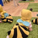 춤추는달팽이도서관 | 10월 육아일기 : 가을을 즐기는 9개월아기의 추석 장거리이동, 아난티여행, 에버랜드