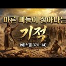 예언자 에스겔 이미지
