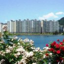 월광수변공원 이미지