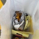 찰칵찰칵 스마트폰 사진반 | 제주 웨딩 스냅 슈퍼헬퍼! 분장차패키지 이용 후기❤️(with 우리의 봄날 문작가)