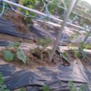 일희농장 이미지