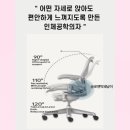 뉴인토스사무가구 | 허먼밀러 뉴 에어론 풀체어 사무용 의자 차이와 후기