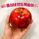 천도로 | 돌쇠네 농산물 천도복숭아 내돈내산 직접 먹어본 솔직후기