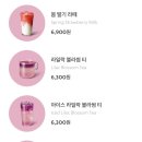 브라운슈가 네이버블로그