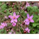 여주-0461 이미지