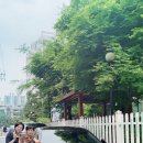 선한부자 인셀덤