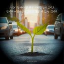 오성네트웍스