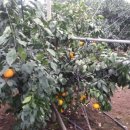 유프레시 이미지