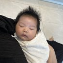 스테이그로체 이미지