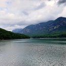 소나무와 호수 이미지