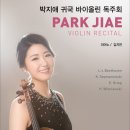 바이올린 이미지