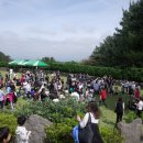 제주충신유치원 이미지