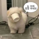 하용오토바이 | 입추 : 입닥쳐, 추워지려면 멀었어