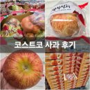 코스트코 세척사과 가격, 껍질째 먹는 사과 후기