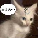 산호약국 | 인스타그램은 왜 여신이 많은가 -&gt; 페이브 스튜디오 메이크업 &amp; 촬영 후기 + 운전면허 갱신신청