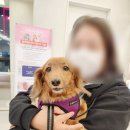 위브동물의료센터 이미지