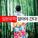 영인일본입시연구소 이미지