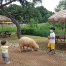 은우항아리바베큐