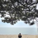 궁평항 | [🏃‍♂️ 활기찬 인생] 봄 도다리 제철! 가족과 함께한 화성 궁평항 나들이 후기