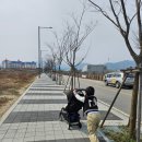 ㈜춘천시민버스 | [강원 춘천] 엄빠도 아이도 기대이상 좋았던 레고랜드 테마파크! 할인 꿀팁(? )