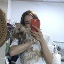 토다기 이미지