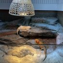 플레이하우스 | 명지키즈카페 명지 아쿠아플레이하우스 22개월 아기 다녀온 솔직후기