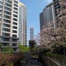 세빛약국 이미지