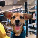 콜라네 반찬가게 이미지