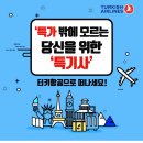 소리항공여행 이미지
