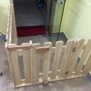 나에개로 이미지